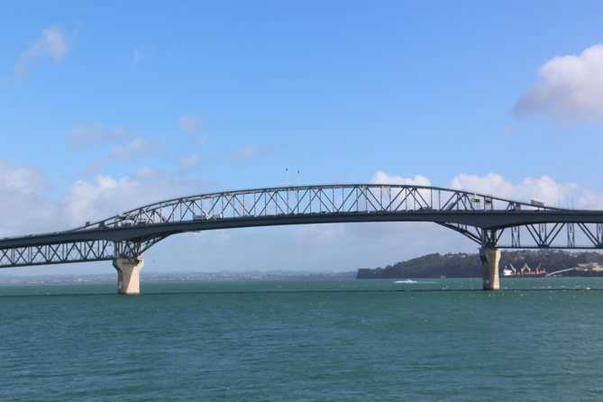 Auckland Harbour Cruise - Timing and pacing, why this fits tight itineraries