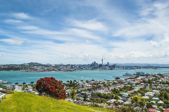 Auckland Harbour Cruise - The price, and when it’s a great deal