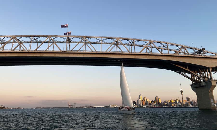 Auckland: Harbour Sailing Cruise with 3-Course Dinner - Step One: Get Oriented at Viaduct Harbour Before You Board