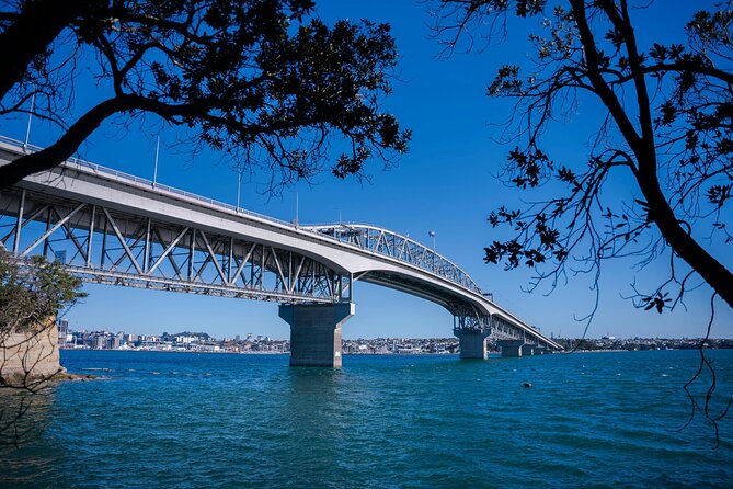 Auckland Highlight Attractions Small Group Tour - Price and Value at $99.29 per Person
