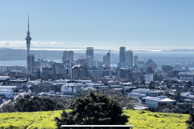 Auckland Highlight Fullday City Tour - Auckland Museum and MJ Savage Memorial Park: Context Without Overload