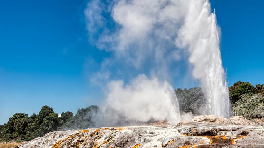 Auckland: Hobbiton and Rotorua Day Tour including Te Puia - Final call: should you book it?