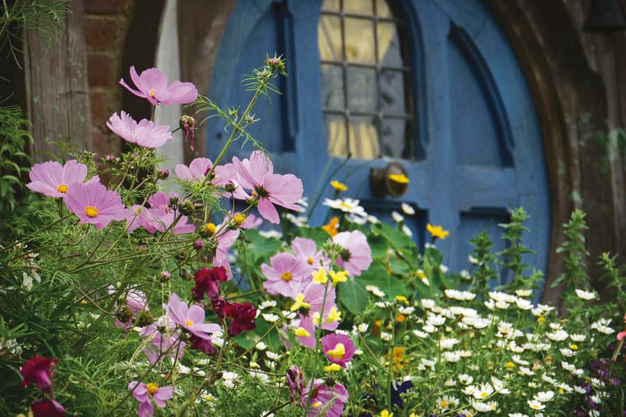 Auckland: Hobbiton and Rotorua Day Tour including Te Puia - The 2.5-hour Hobbiton tour: 44 hobbit holes and the story behind the details