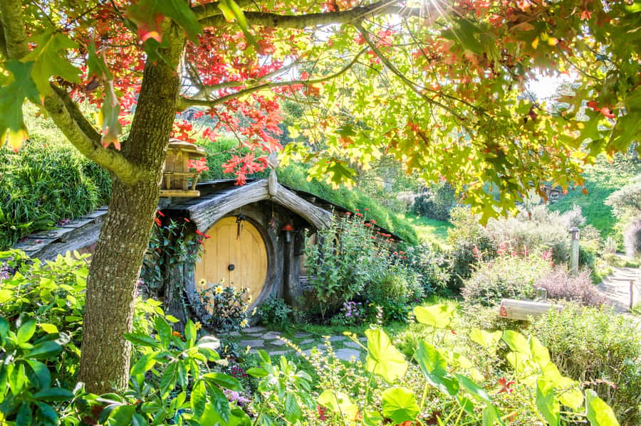 Auckland: Hobbiton Movie Set Tour with Lunch - Shire’s Rest and the Start of the Guided Hobbiton Walk
