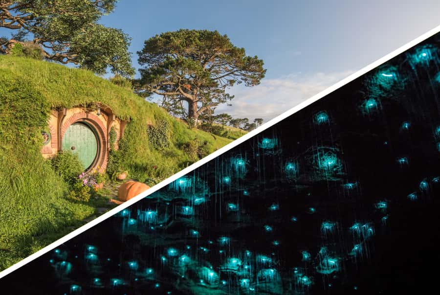 Auckland: Hobbiton, Waitomo Caves, and Rotorua 1-Way Tour - Auckland to Waikato: the road trip that sets the mood