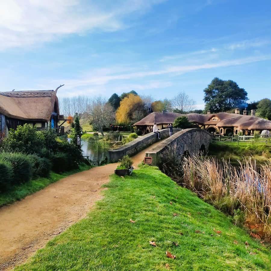 Auckland: Hobbiton, Waitomo Caves, and Rotorua 1-Way Tour - The day’s rhythm: how the schedule affects you