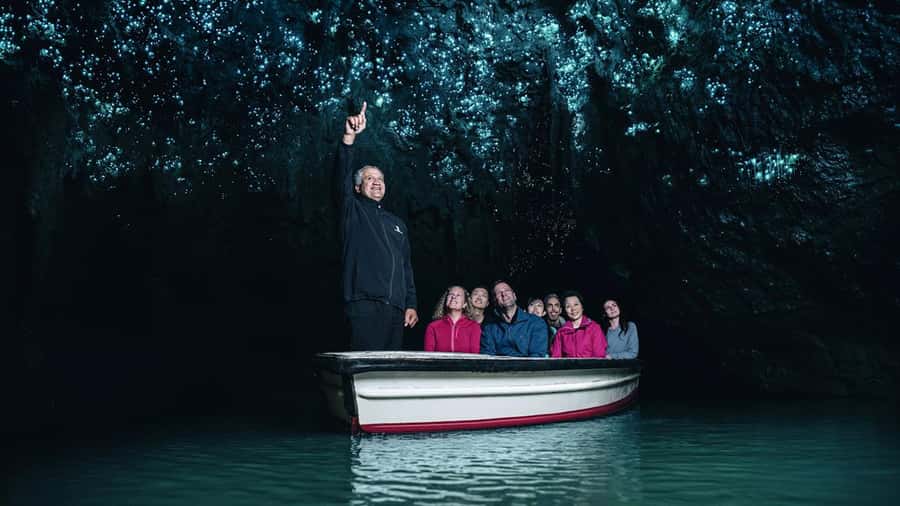 Auckland: Hobbiton, Waitomo Caves, and Rotorua 1-Way Tour - Who this tour is best for