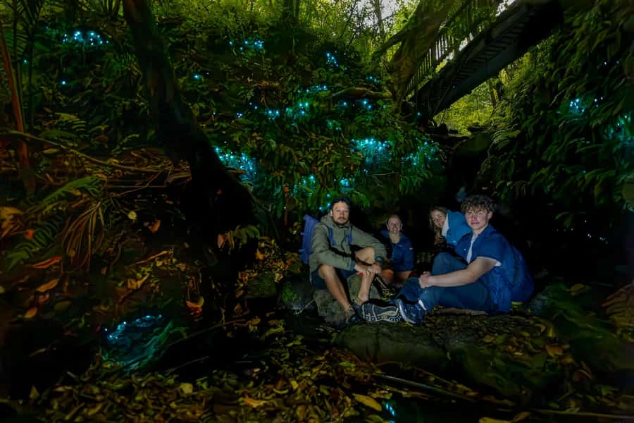 Auckland: Inner-City Glowworm Experience in Ancient Volcano - Wintergarden Cafe meet-up, then into the dark