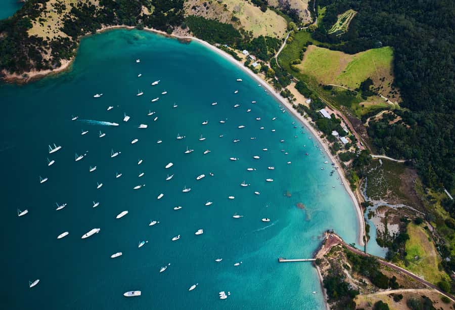 Auckland: Man O' War Vineyard Ferry (Waiheke Island) - Key points to know before you go
