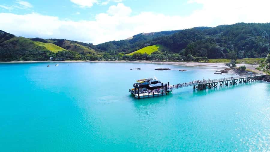 Auckland: Man O' War Vineyard Ferry (Waiheke Island) - A day trip that actually feels like an escape from Auckland