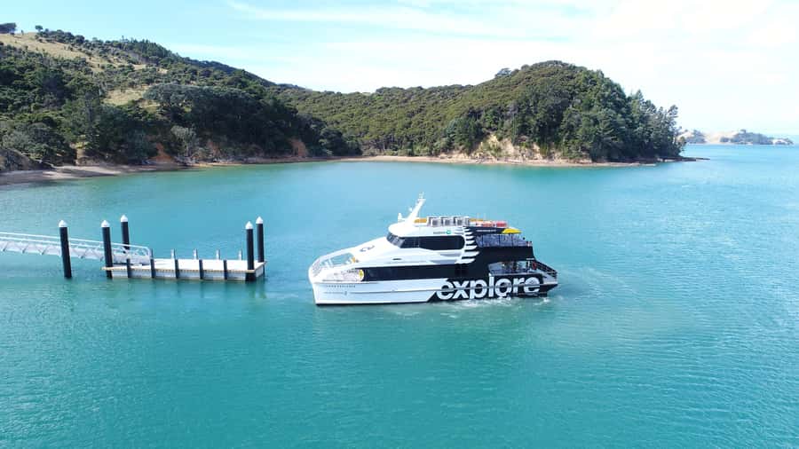 Auckland: Man O' War Vineyard Ferry (Waiheke Island) - Timing that helps you plan: weekday mornings versus weekend schedules