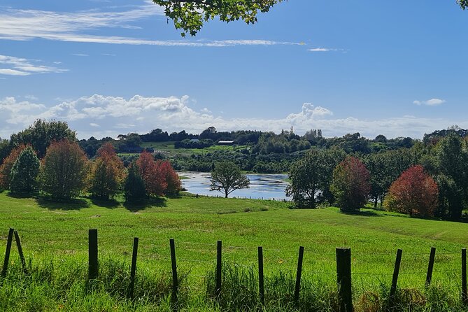 Auckland Nature Tour - How this Auckland nature loop really feels in real time