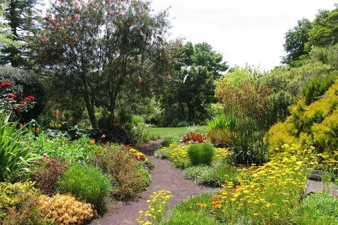 Auckland Nature Tour - The ride between stops matters more than you think