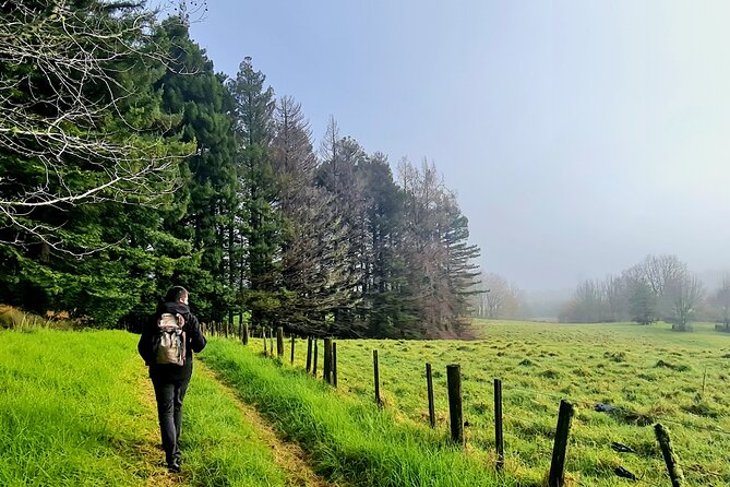 Auckland Nature Tour - Price and value: what NZD 191 per person gets you