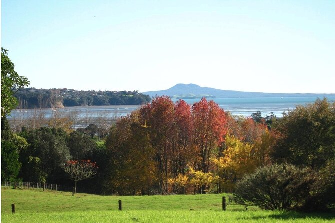 Auckland Nature Tour - Ayrlies Garden and Wetlands: the floral stop that changes the whole day