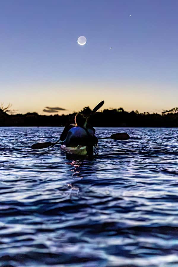 Auckland: Night Kayak Tour in Glowing Bioluminescent Waters - Safety briefing first: gear up before the magic