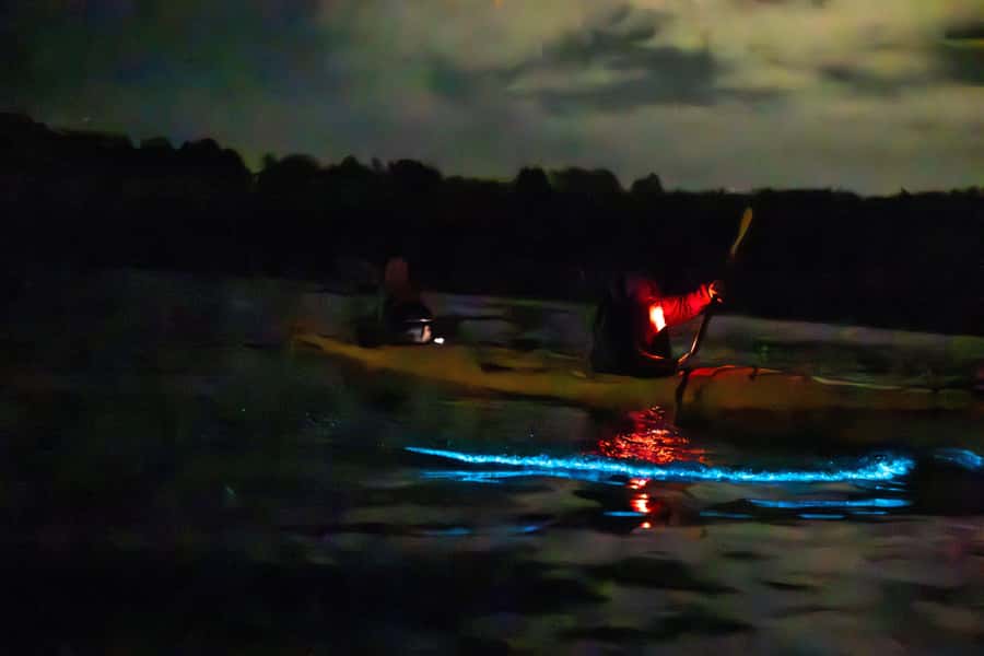 Auckland: Night Kayak Tour in Glowing Bioluminescent Waters - The break onshore: resetting without losing the vibe