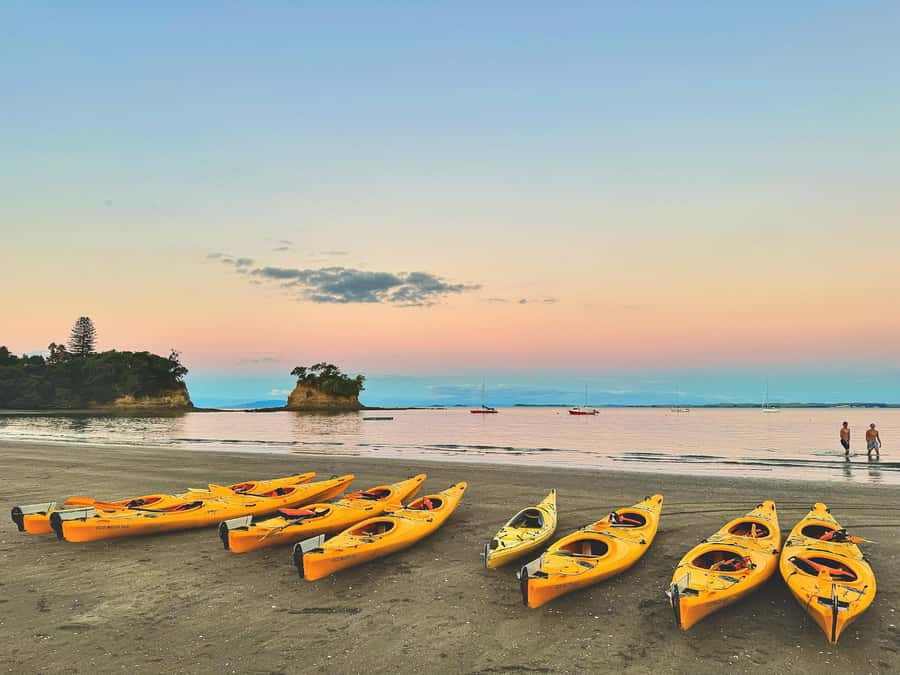 Auckland: Night Kayak Tour in Glowing Bioluminescent Waters - The real value of a $56 Auckland night kayak tour