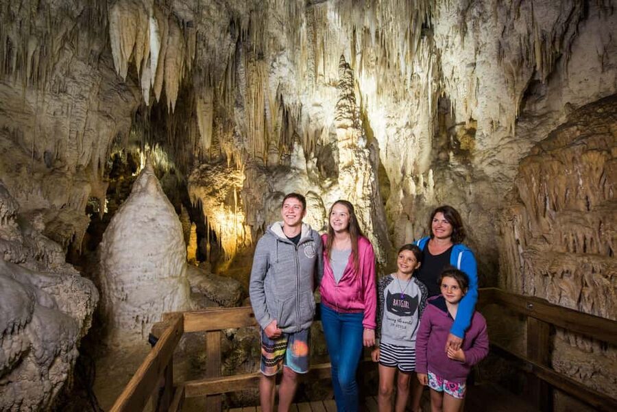 Auckland: One-Way Tour to Rotorua with Waitomo Caves - Key things that make this tour worth your time