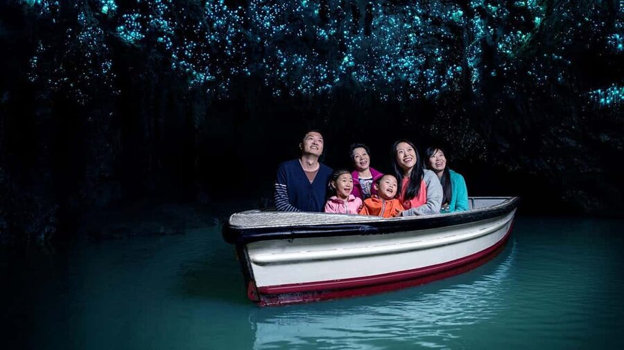 Auckland: One-Way Tour to Rotorua with Waitomo Caves - Value check: is $181 a good deal?