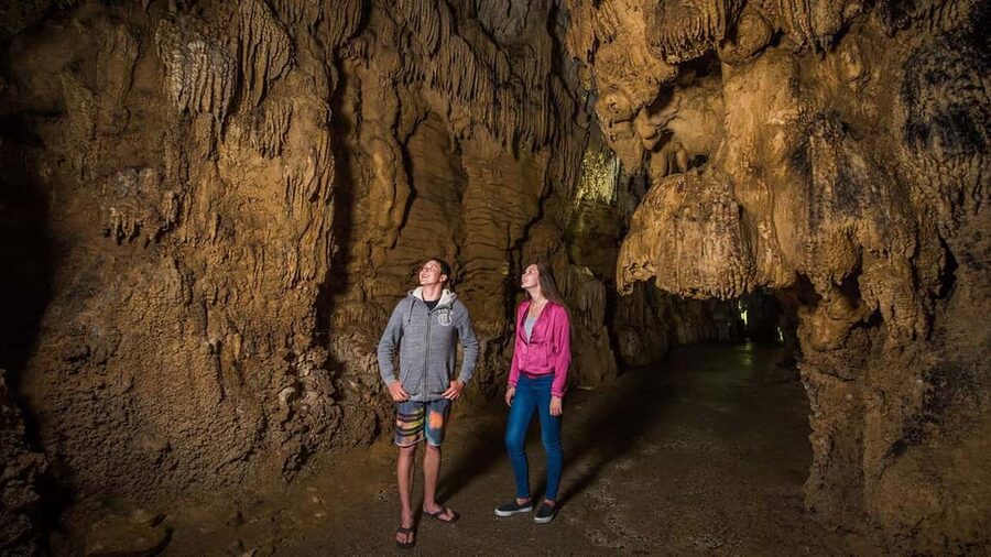 Auckland: One-Way Tour to Rotorua with Waitomo Caves - From Auckland to Rotorua in one day, without the stress