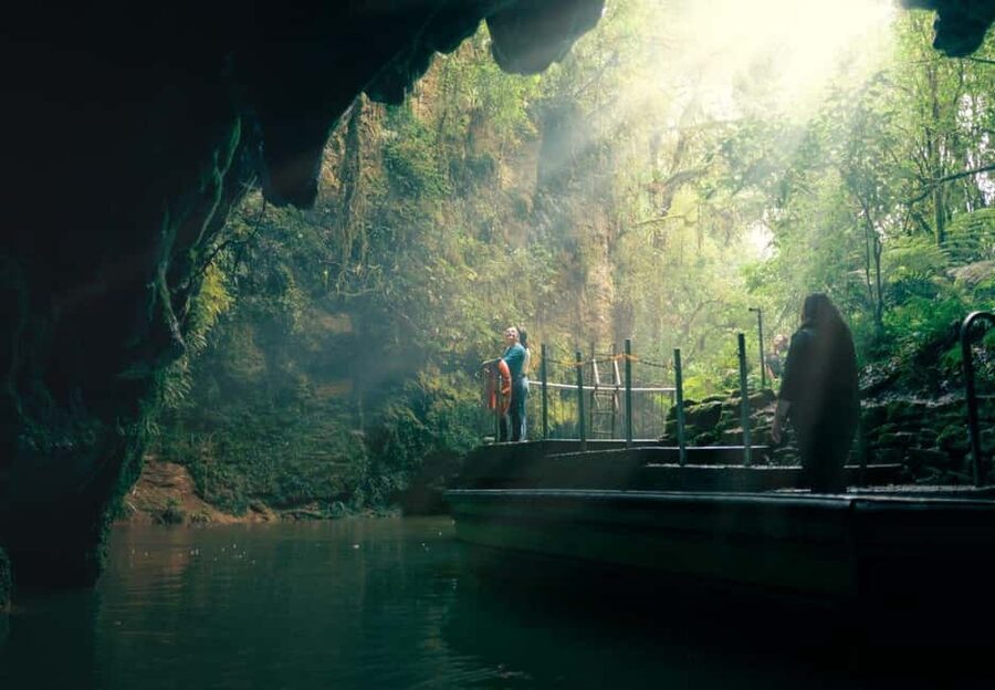 Auckland: One-Way Tour to Rotorua with Waitomo Caves - The Waikato drive: longest river views, mountains, and farm animals
