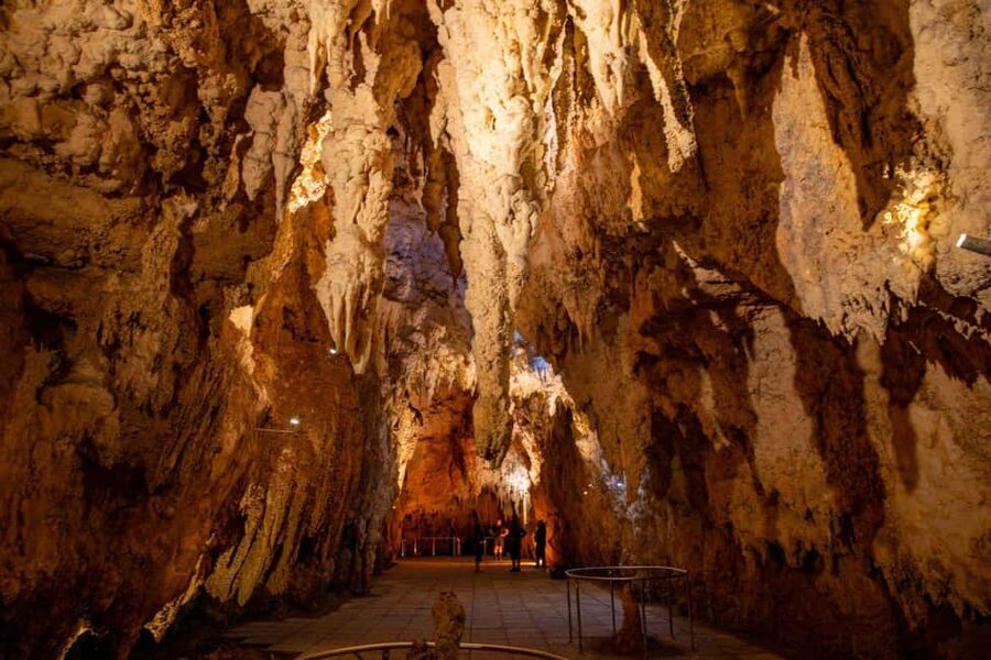 Auckland: One-Way Tour to Rotorua with Waitomo Caves - Waitomo Glowworm Caves: guided limestone formations you cannot photograph