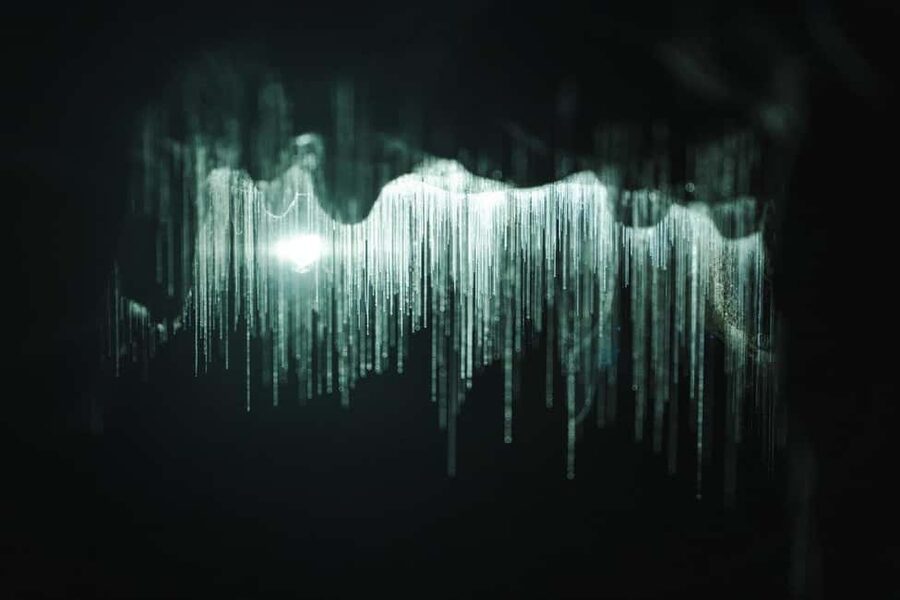 Auckland: One-Way Tour to Rotorua with Waitomo Caves - Glowworm boat cruise: thousands of lights on the grotto river