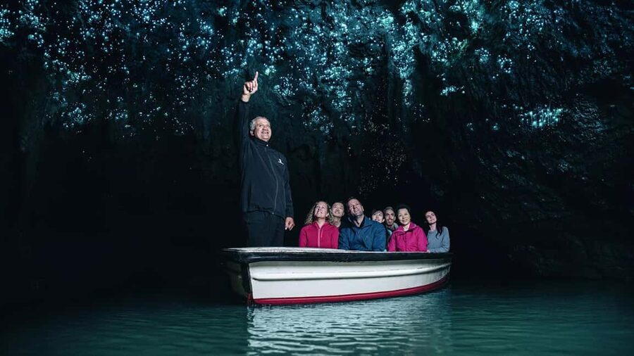 Auckland: One-Way Tour to Rotorua with Waitomo Caves - Pickup in Auckland and settling into a comfortable mini-bus