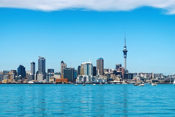 Auckland Private Custom Walking Tour with A Guide (Private Tour) - Guides, Language Options, and the Comfort of Private Time