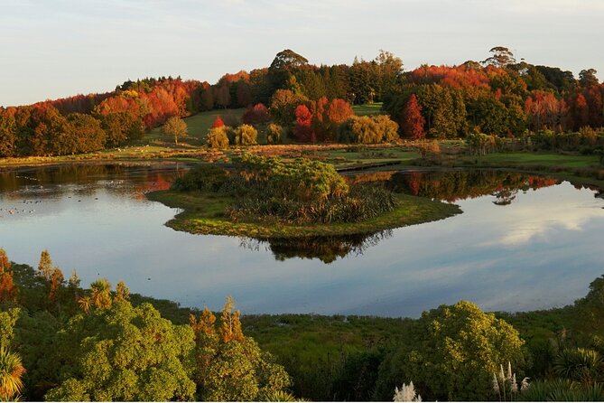 Auckland Private Custom Walking Tour with A Guide (Private Tour) - Price and Value: What $61.06 Per Person Really Buys