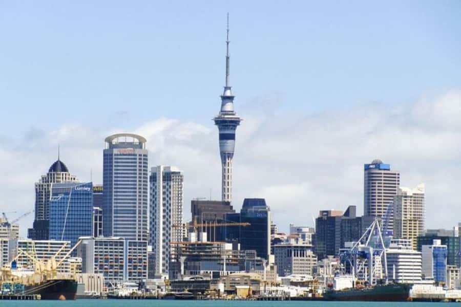 Auckland: Private Customizable Walking Tour with Local Guide - The Real Value of “Local Advice” (Not Just Facts on a Sign)
