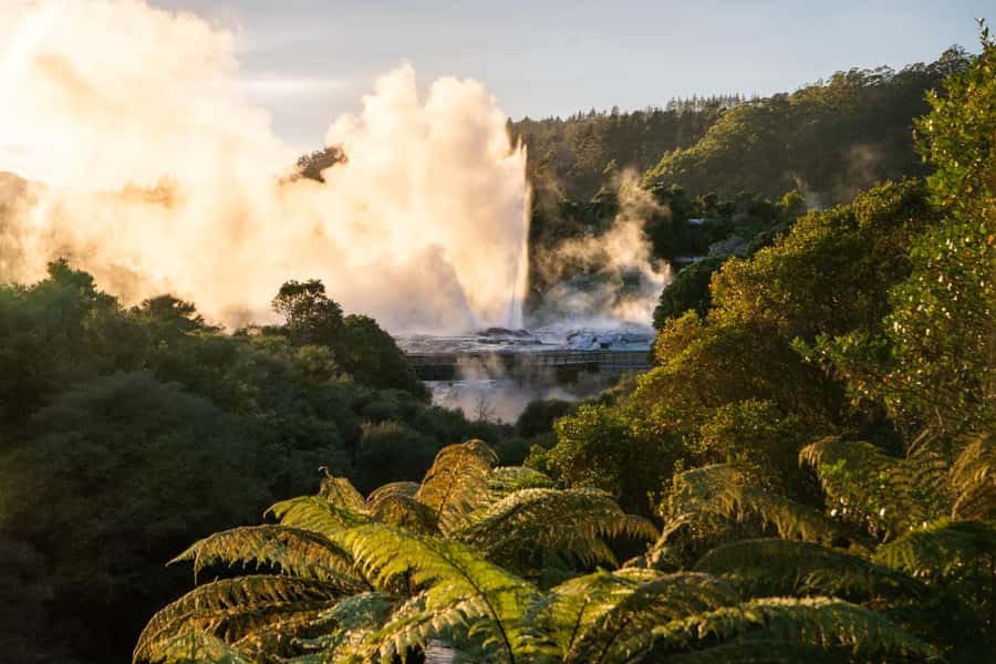 Auckland: Rotorua Highlights inc Wai O Tapu & Te Puia Tour - Rotorua by Car: Lake Rotorua, Museum, Government Gardens, Blue Baths