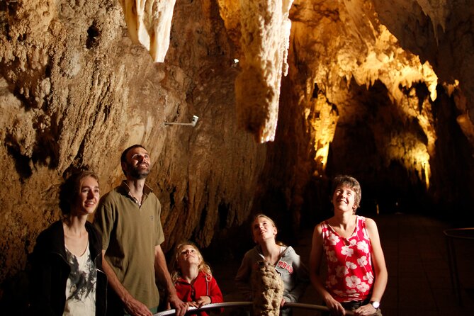 Auckland: Rotorua Māori Village, Waitomo Caves & Lunch - Māori songs, dances, and the haka performance