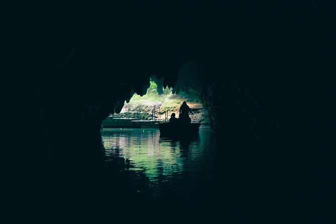 Auckland: Rotorua Māori Village, Waitomo Caves & Lunch - Price and value: what you’re really paying for at $257.54