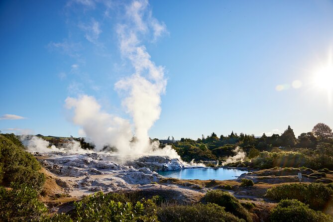 Auckland: Rotorua Māori Village, Waitomo Caves & Lunch - Whakarewarewa Māori Village: geothermal steam plus a guided local welcome
