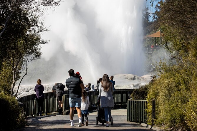 Auckland: Rotorua Te Puia with Haka & Polynesian Spa Small Group - Key highlights at a glance