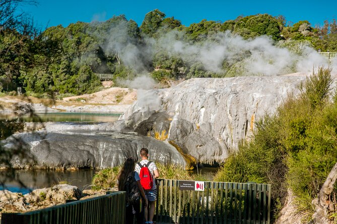 Auckland: Rotorua Te Puia with Haka & Polynesian Spa Small Group - Te Puia Thermal Valley in Whakarewarewa, what you will notice first