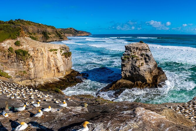 Auckland's Wild West Coast & Black Sand Beaches Tour inc Lunch - A five-hour west coast day that feels well-paced