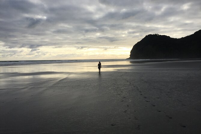 Auckland's Wild West Coast & Black Sand Beaches Tour inc Lunch - Price and value: what you’re really paying for