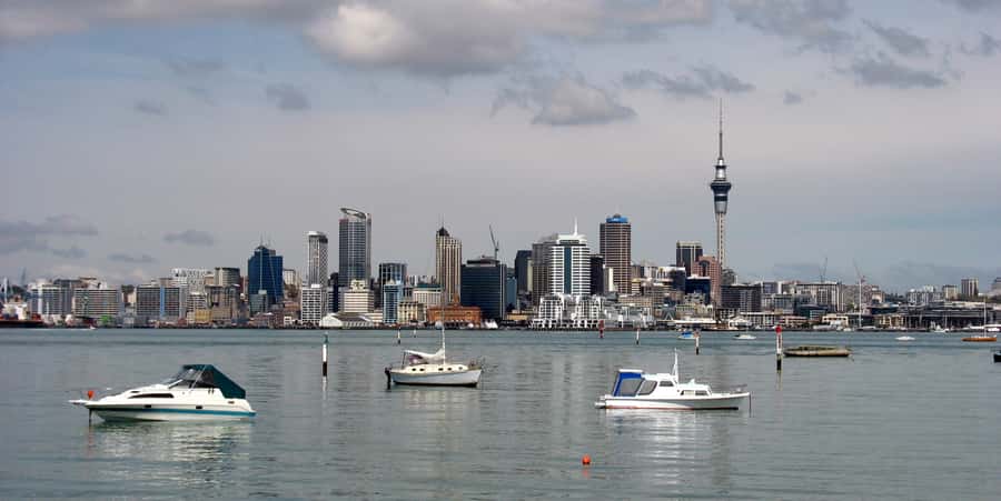 Auckland Scenic Half-Day City Sightseeing Tour - Key points before you go
