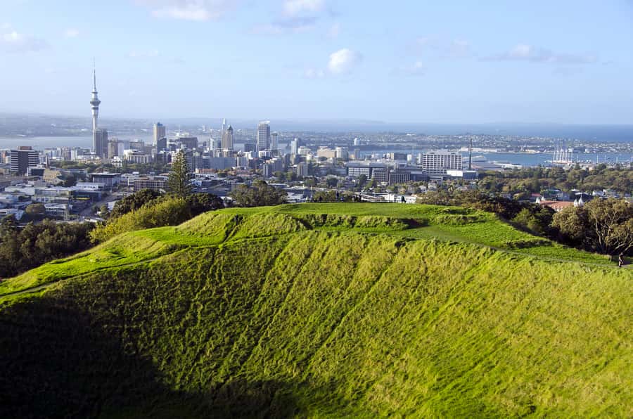 Auckland Scenic Half-Day City Sightseeing Tour - From 99 Quay Street, you start where Auckland feels alive
