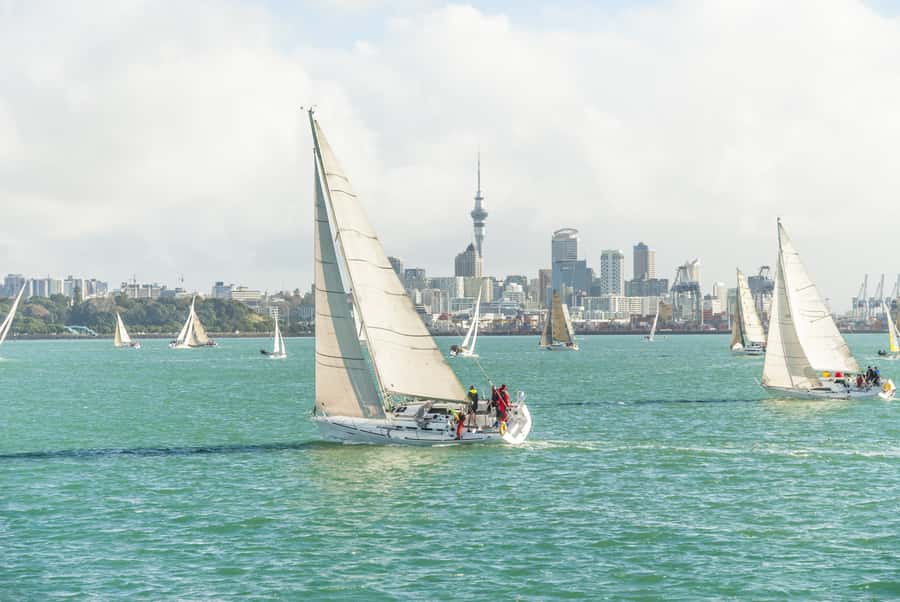 Auckland Scenic Half-Day City Sightseeing Tour - Northcote Point: the quick walk look-back that clicks