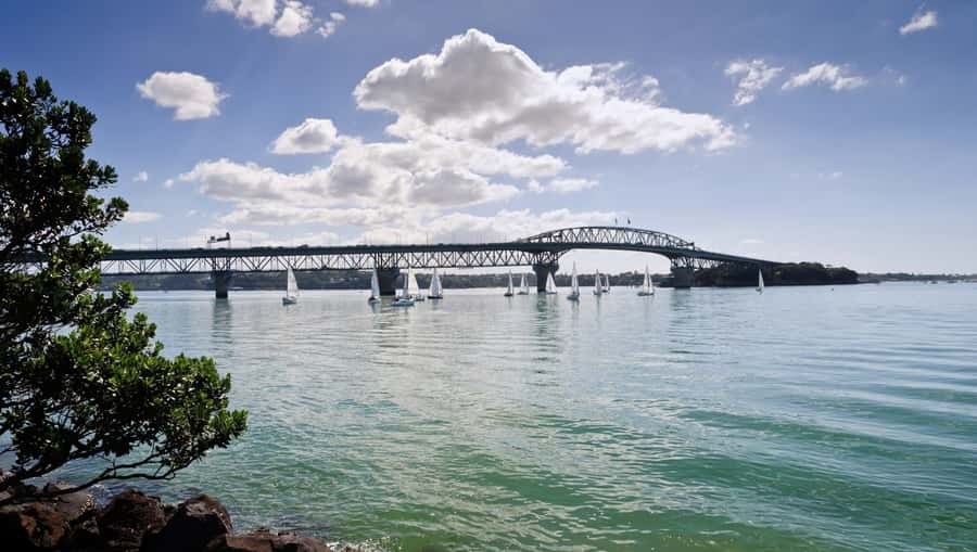 Auckland Scenic Half-Day City Sightseeing Tour - Ponsonby and K Road: where the tour becomes neighborhood, not just landmarks