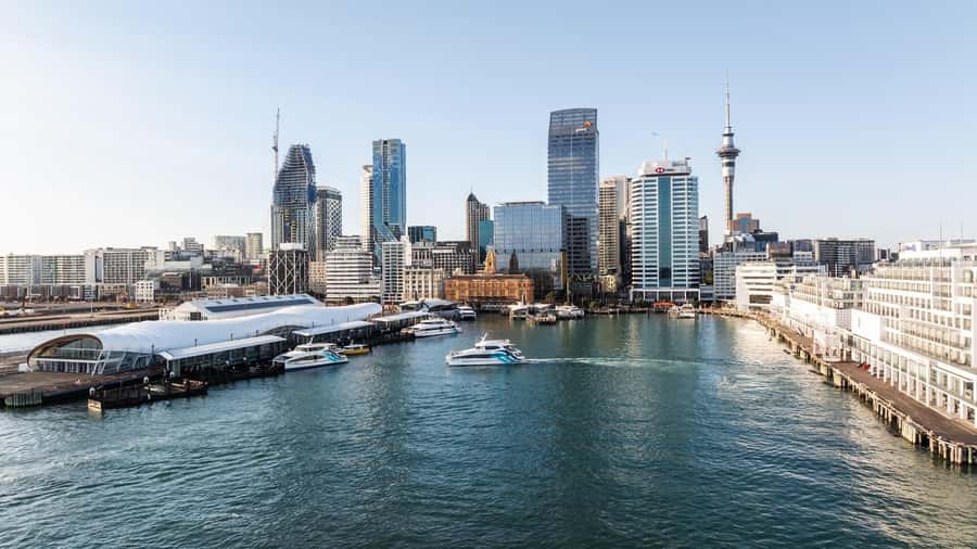 Auckland: Scenic Harbour Sightseeing Cruise - Harbour Bridge Under-View And Sky Tower Framing
