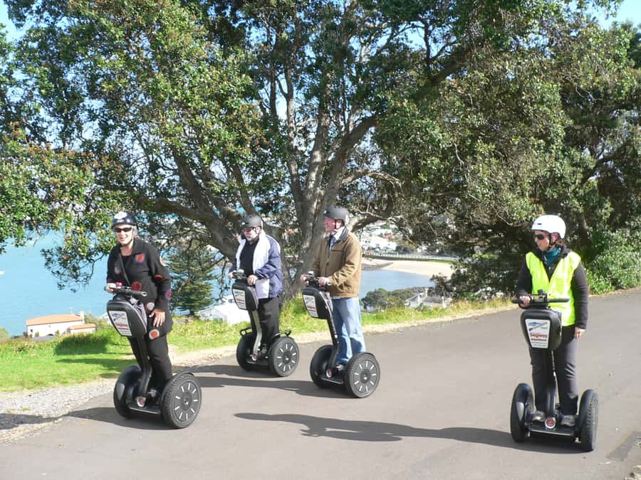 Auckland: Segway to North Head Volcano Summit - North Head Historic Reserve: tunnels, the disappearing gun, and secret pipes