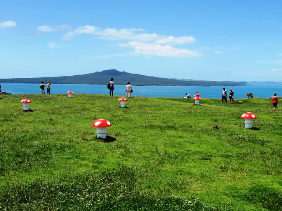 Auckland: Segway Tour to Mount Victoria - Key things to know before you book