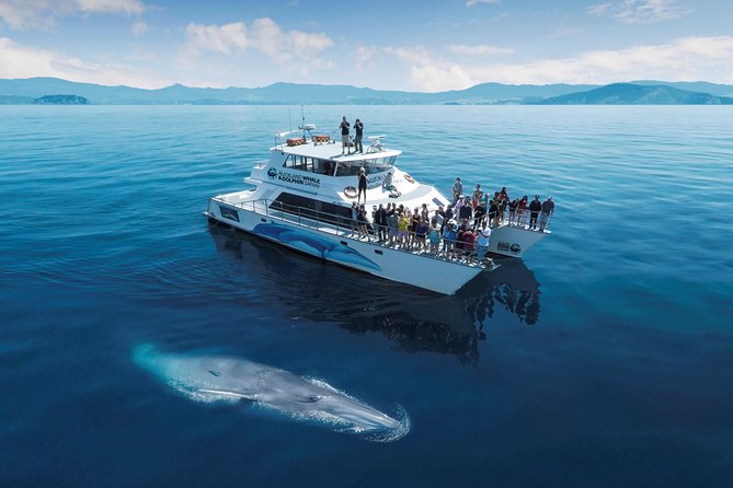 Auckland Sights Exclusive 8 Hour Luxury Day Tour - Custom stops, winery requests, and how the guide manages time