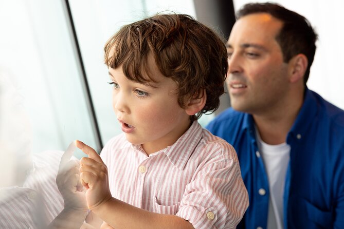 Auckland Sky Tower General Admission Ticket - Who should book Auckland Sky Tower general admission