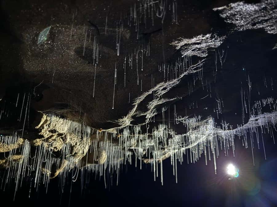 Auckland: Spellbound Glowworm Caves Explorer Tour - Inside Spellbound: guided caves, a steady pace, and better photos